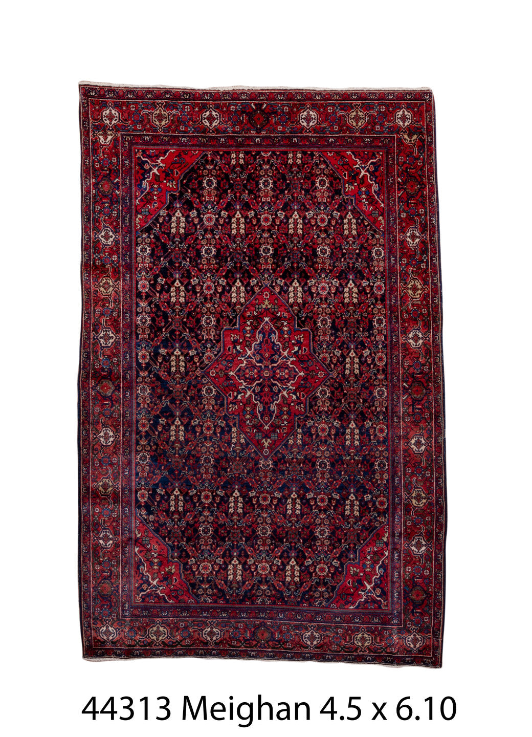044313 Rug
