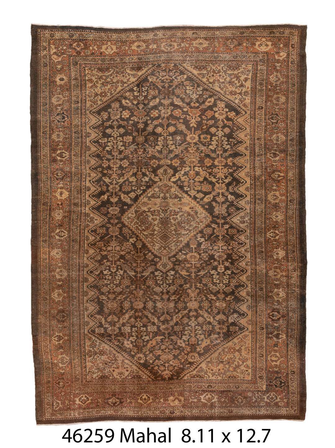 046259 Rug