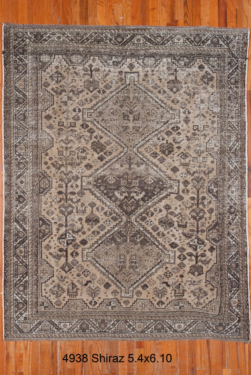 C04938 Rug