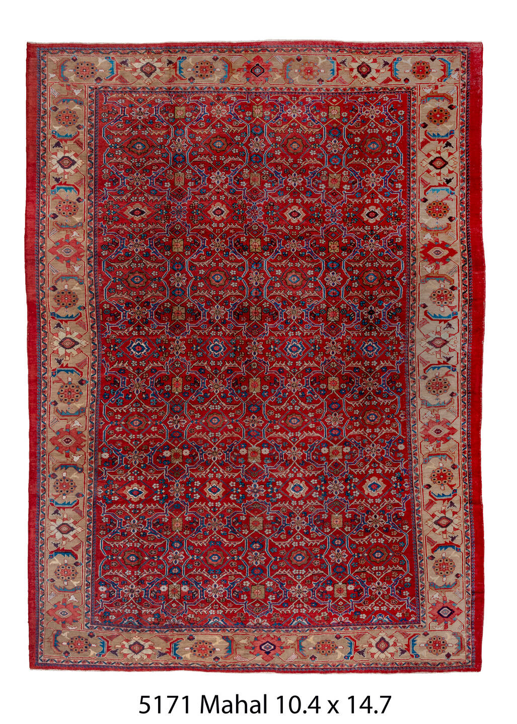 C05171 Rug