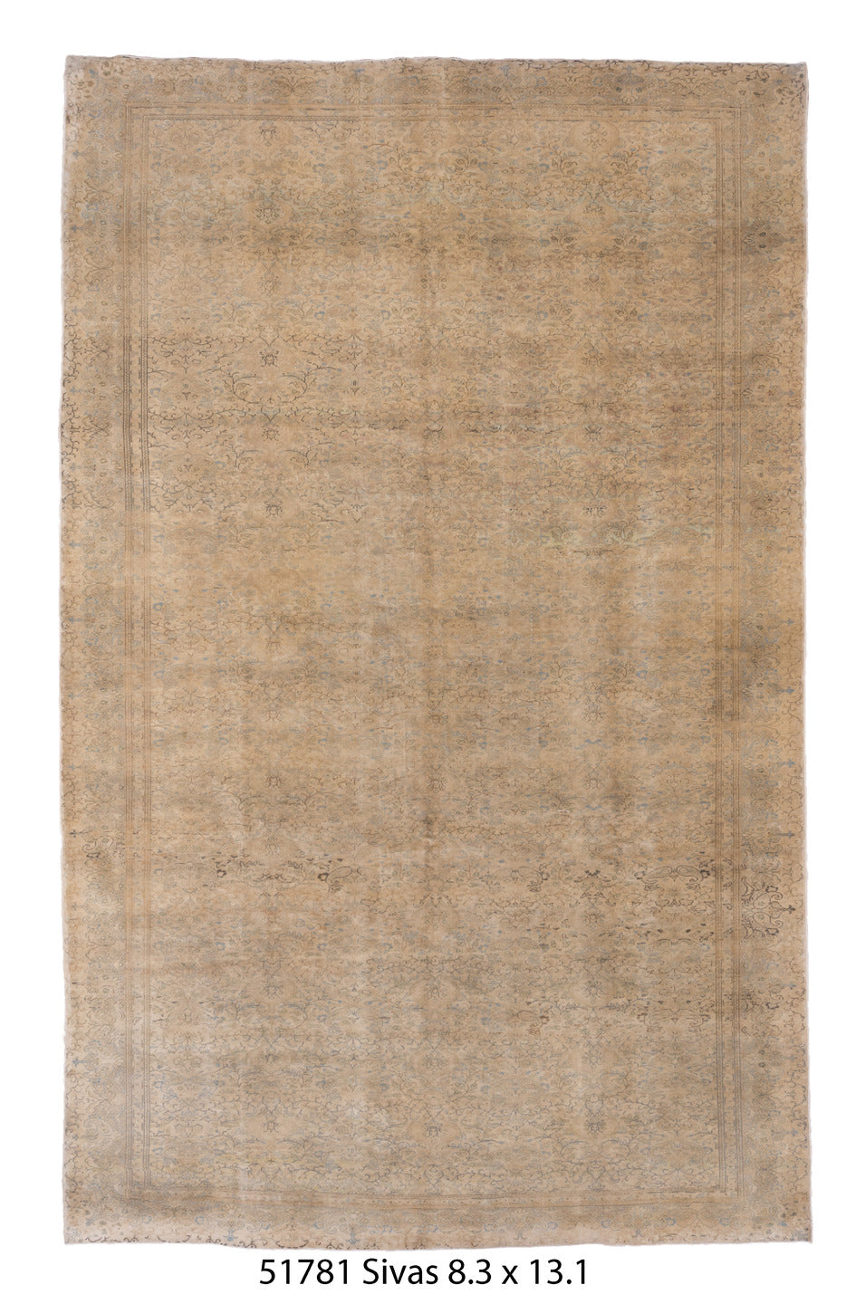 C51781 Rug