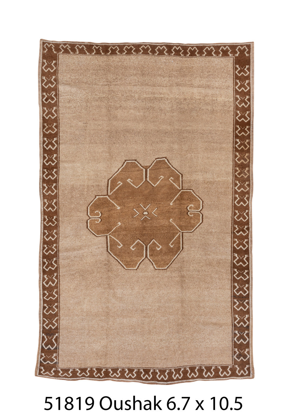 C51819 Rug