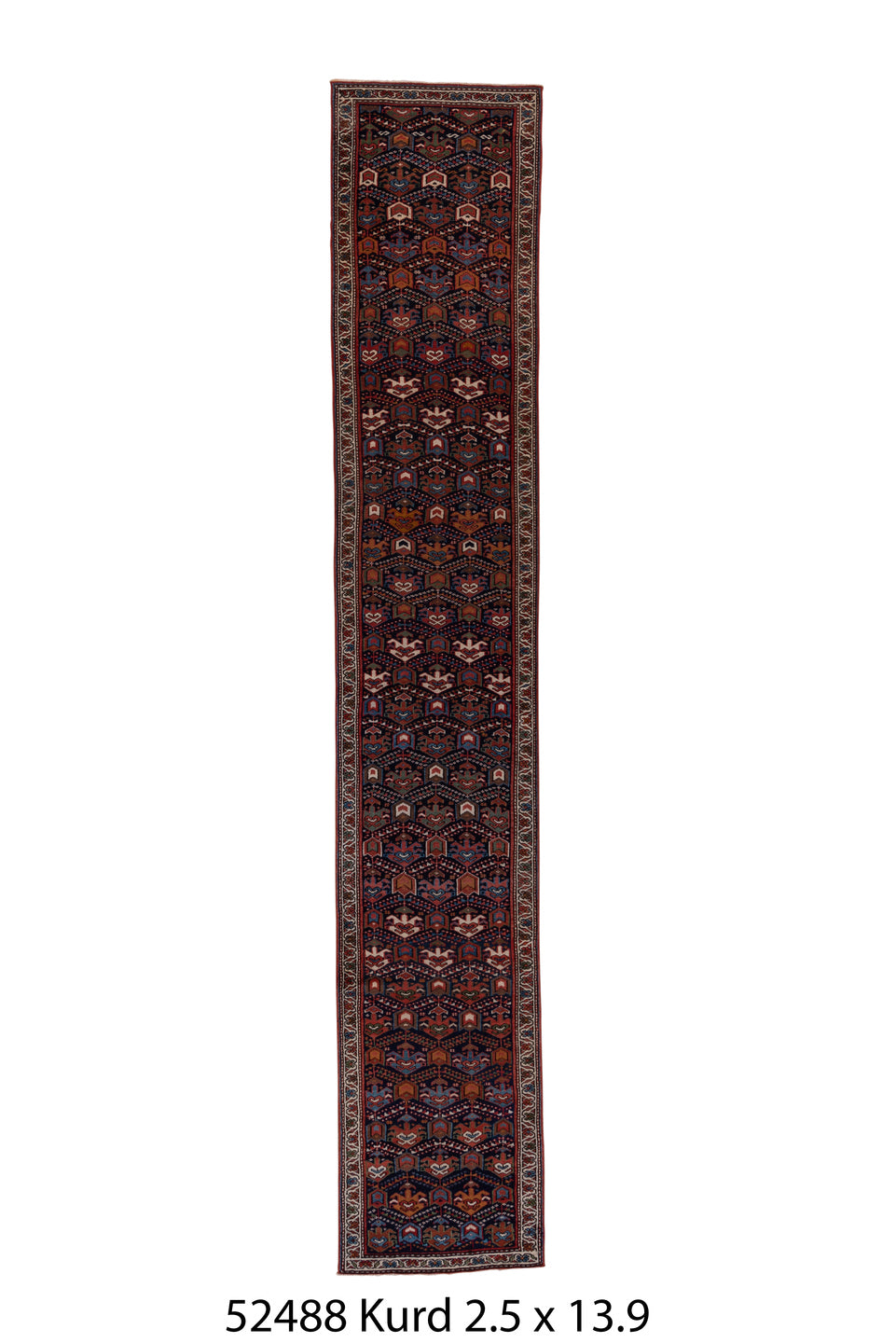 C52488 Rug