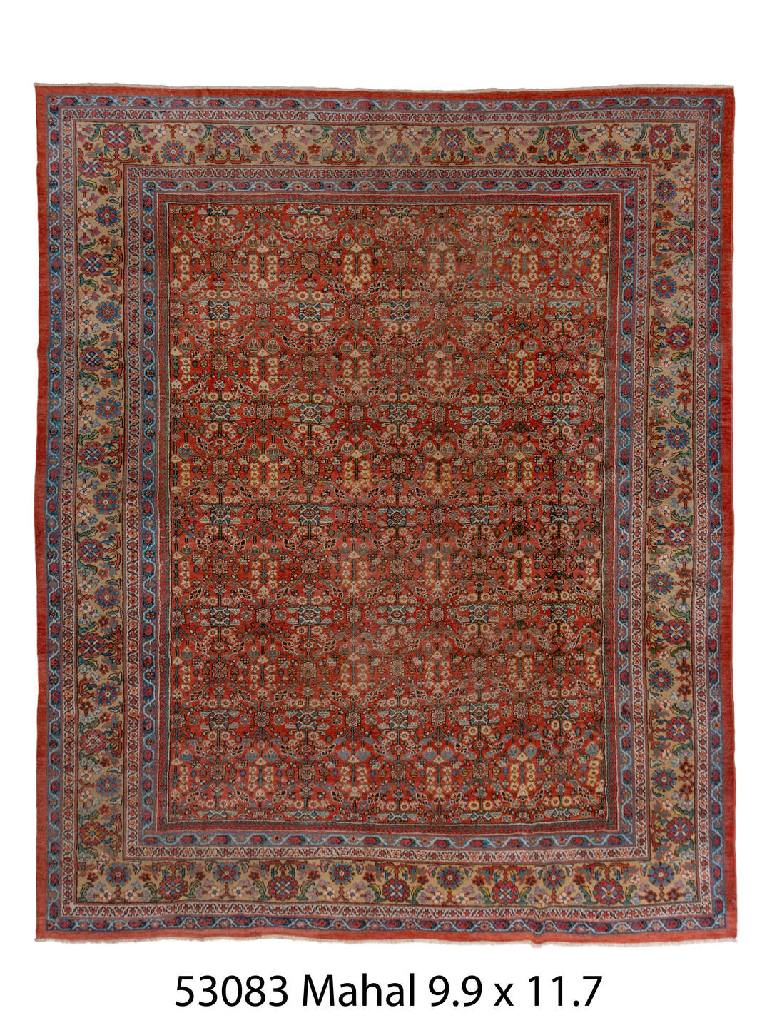 C53083 Rug