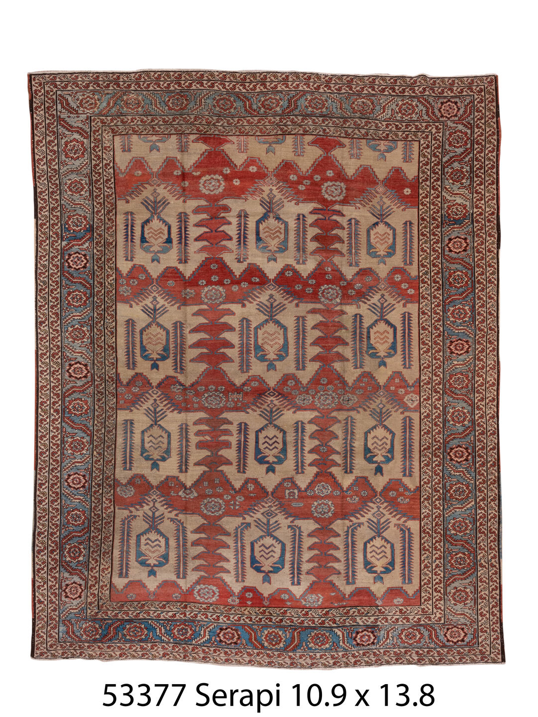 C53377 Rug