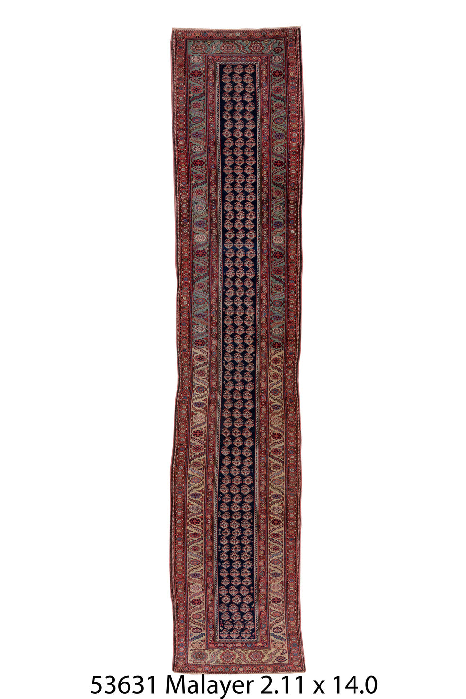 C53631 Rug