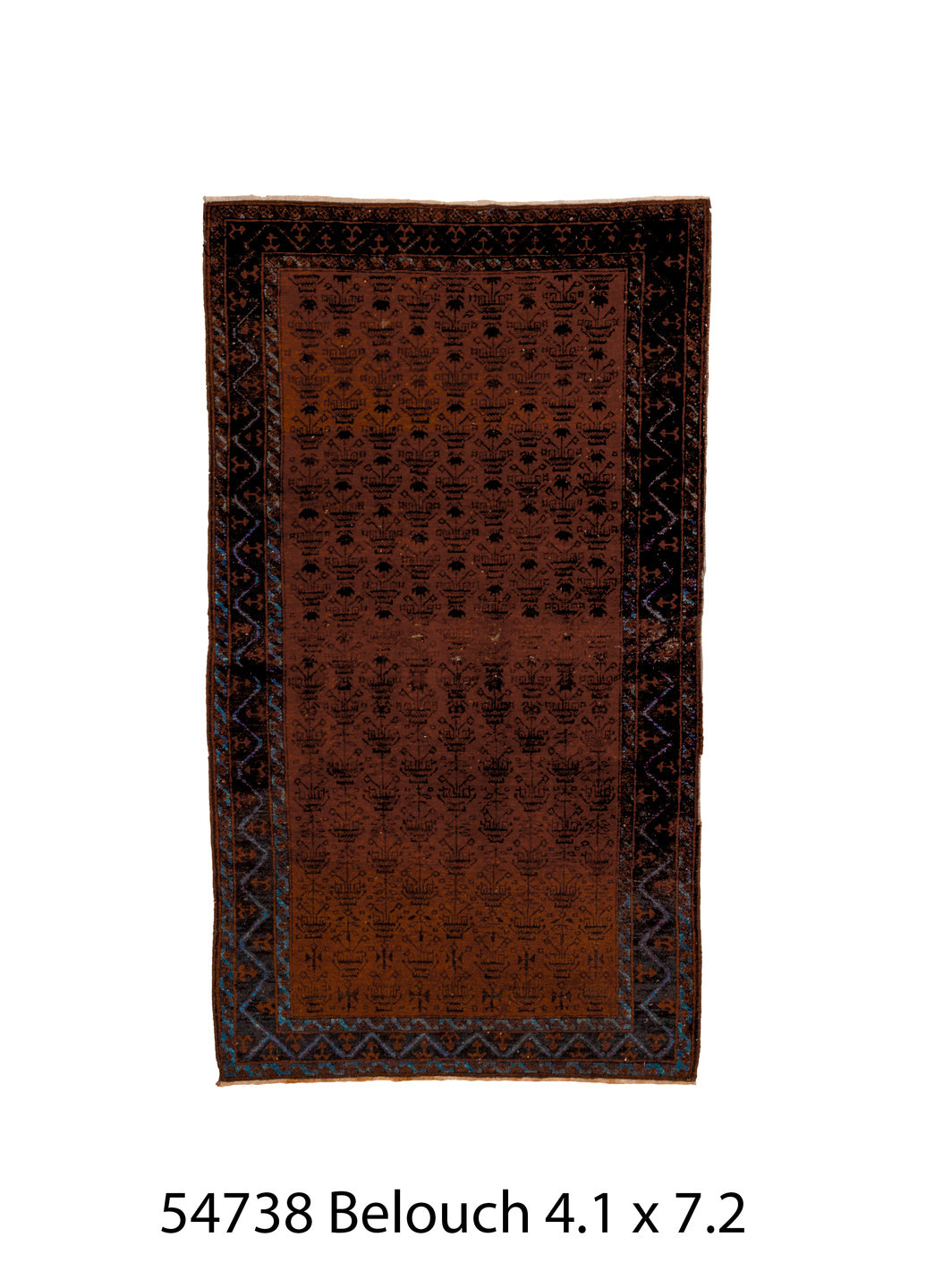 C54738 Rug
