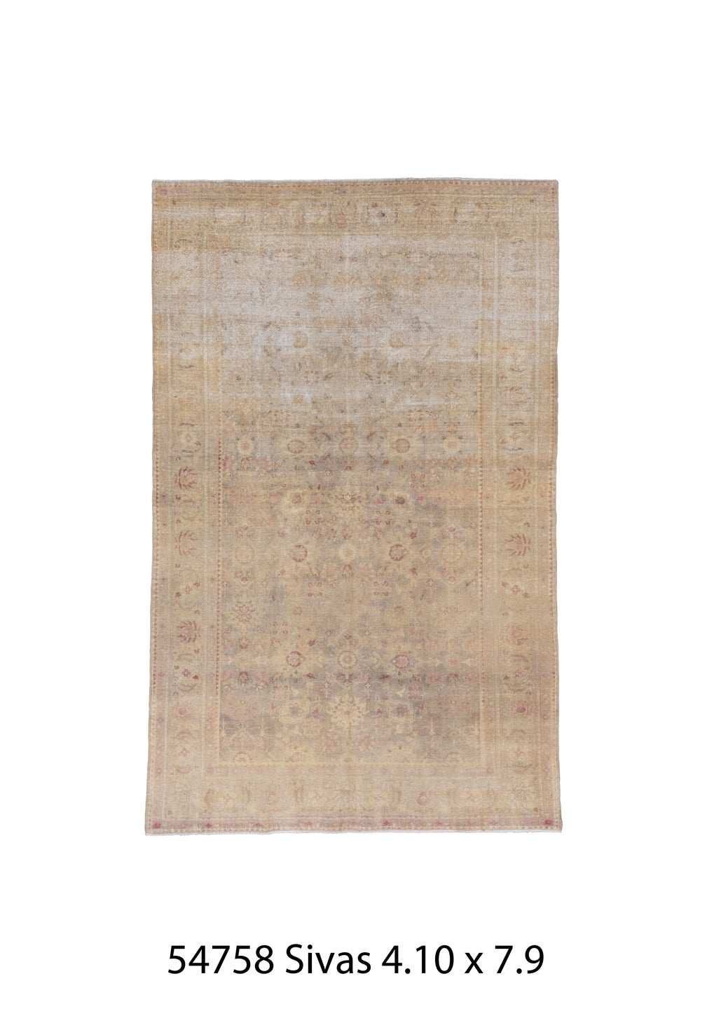 C54758 Rug
