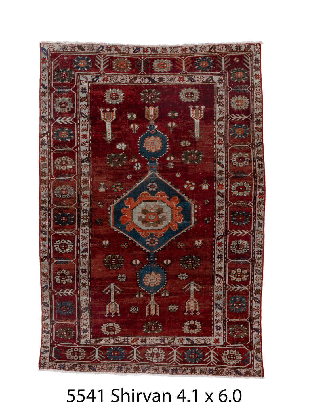 C05541 Rug