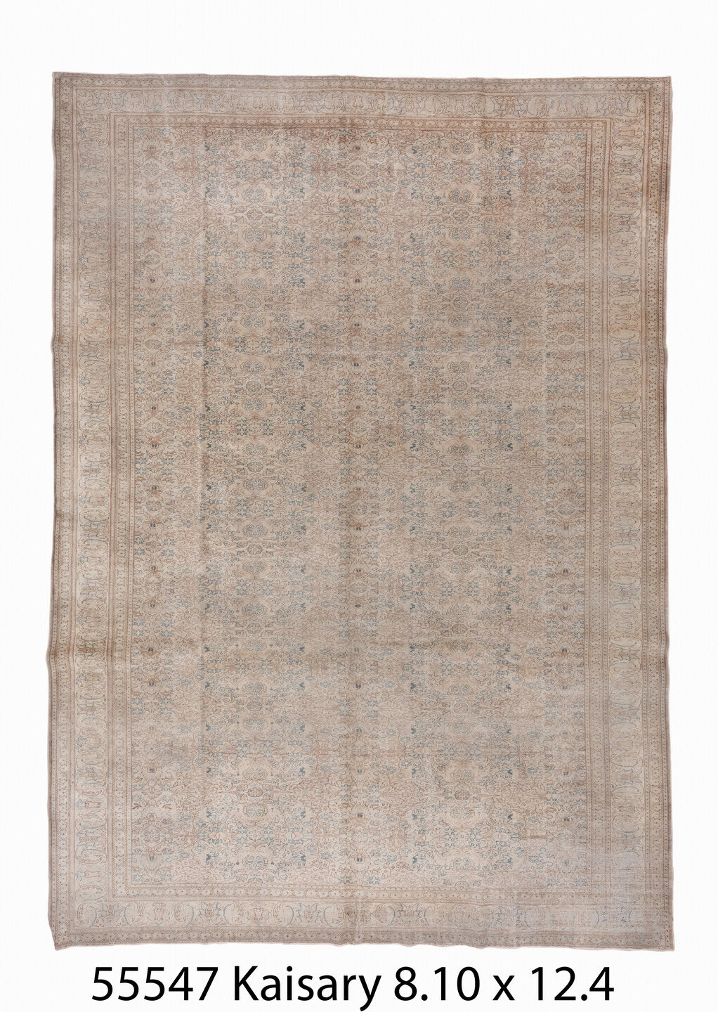 C55547 Rug