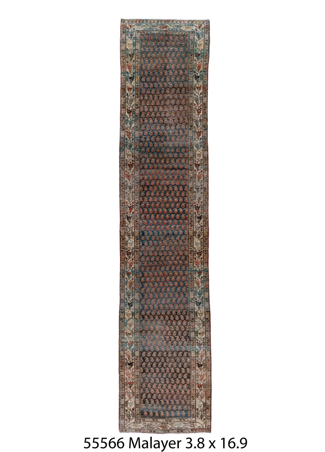 C55566 Rug