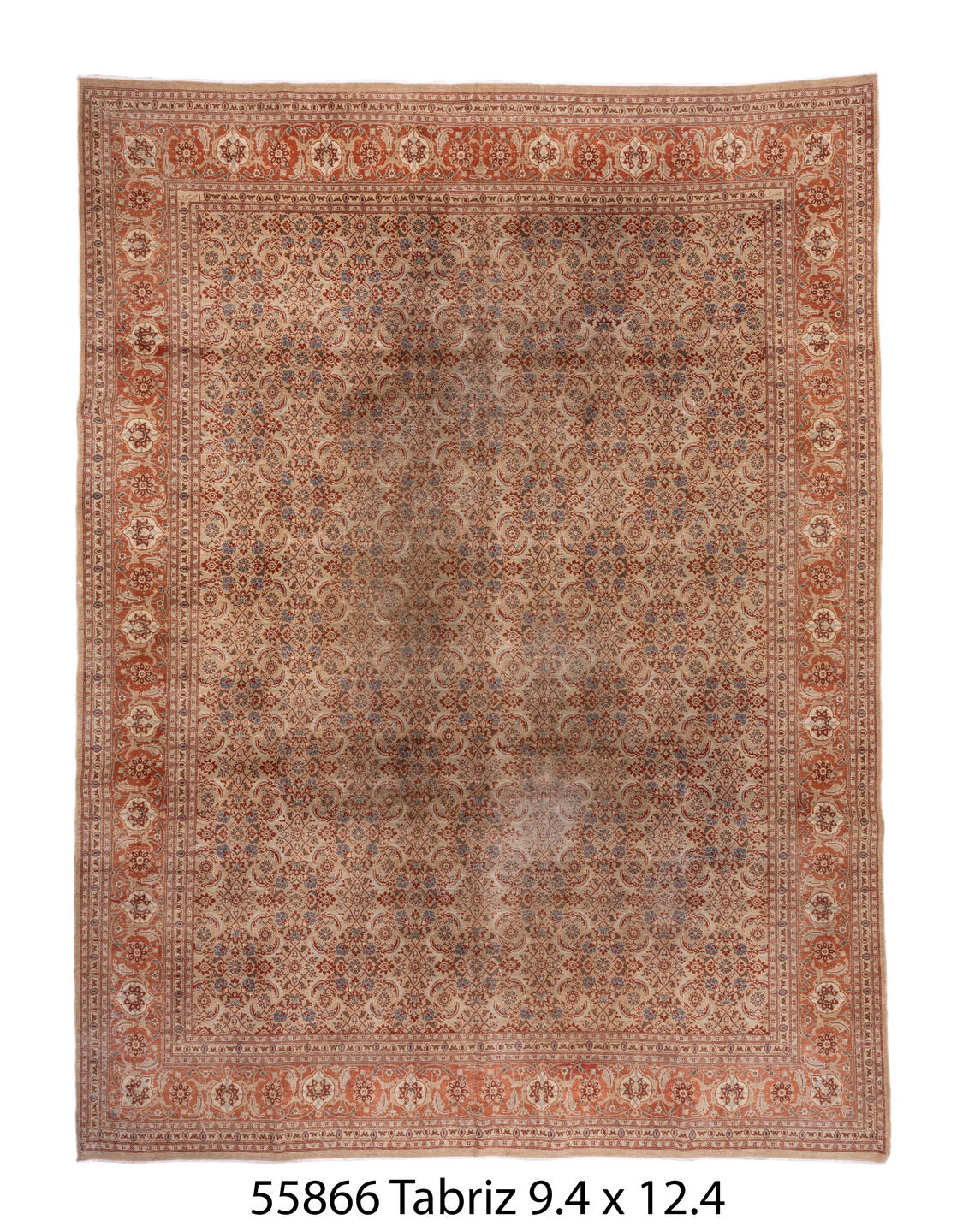 C55866 Rug