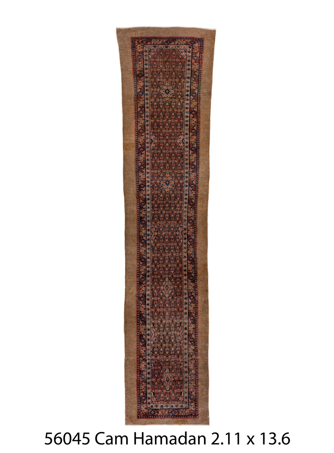 056045 Rug
