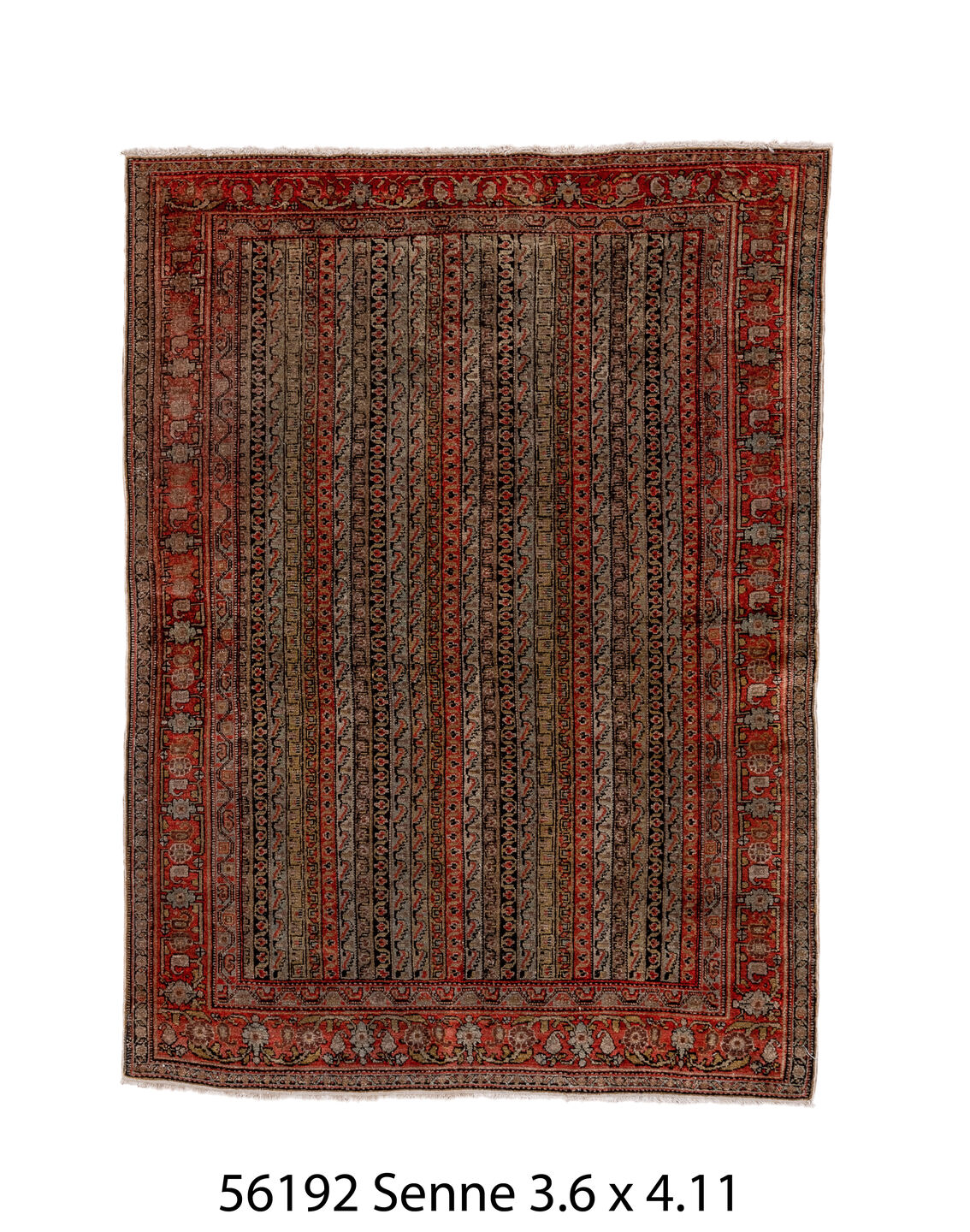 056192 Rug