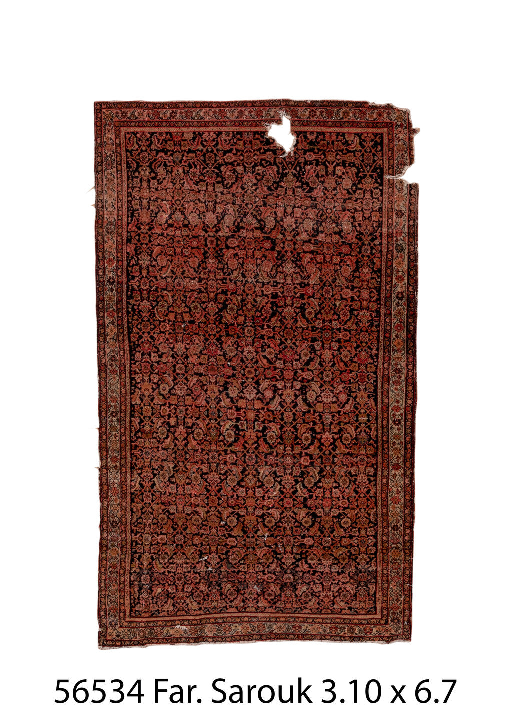 056534 Rug