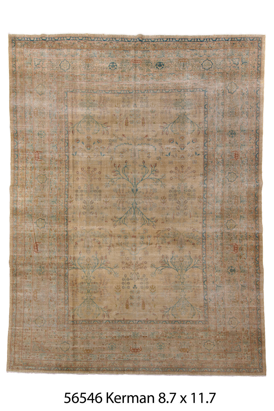 056546 Rug