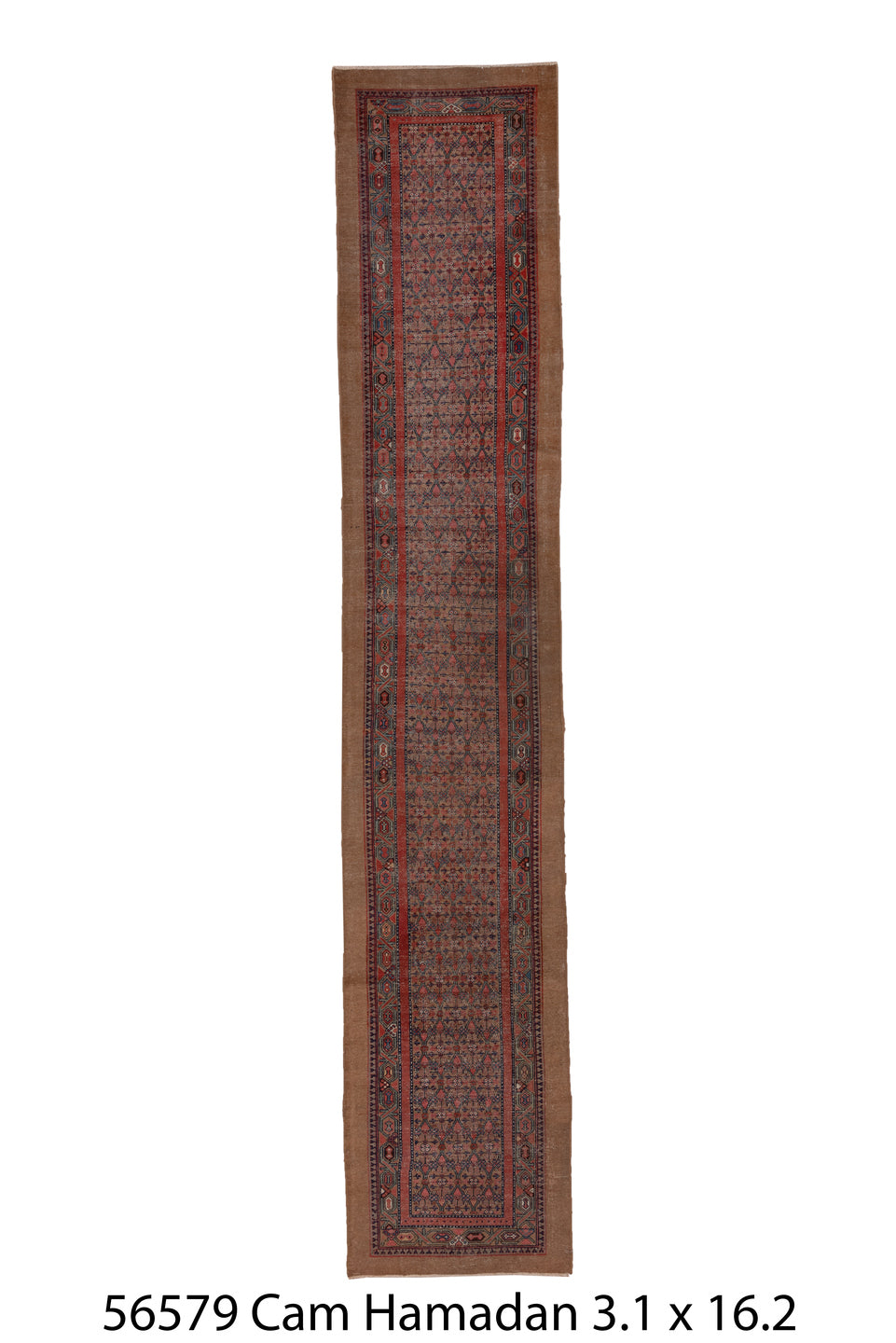 056579 Rug