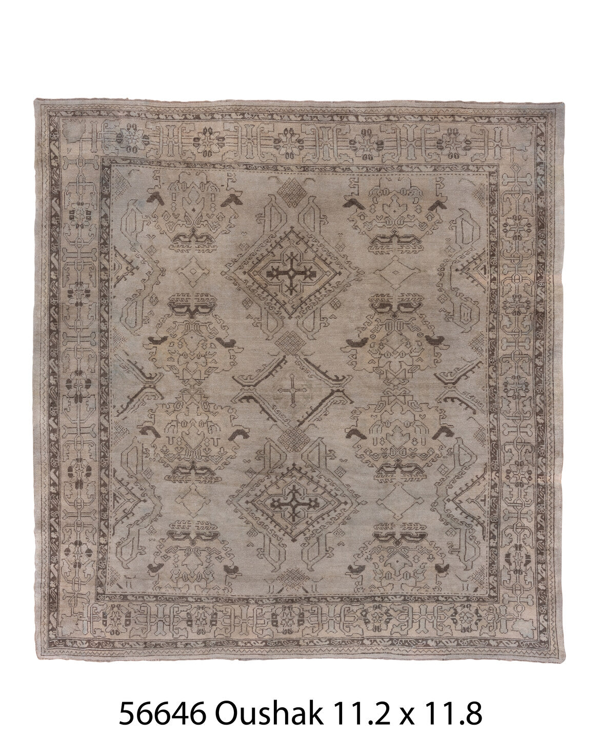 056646 Rug
