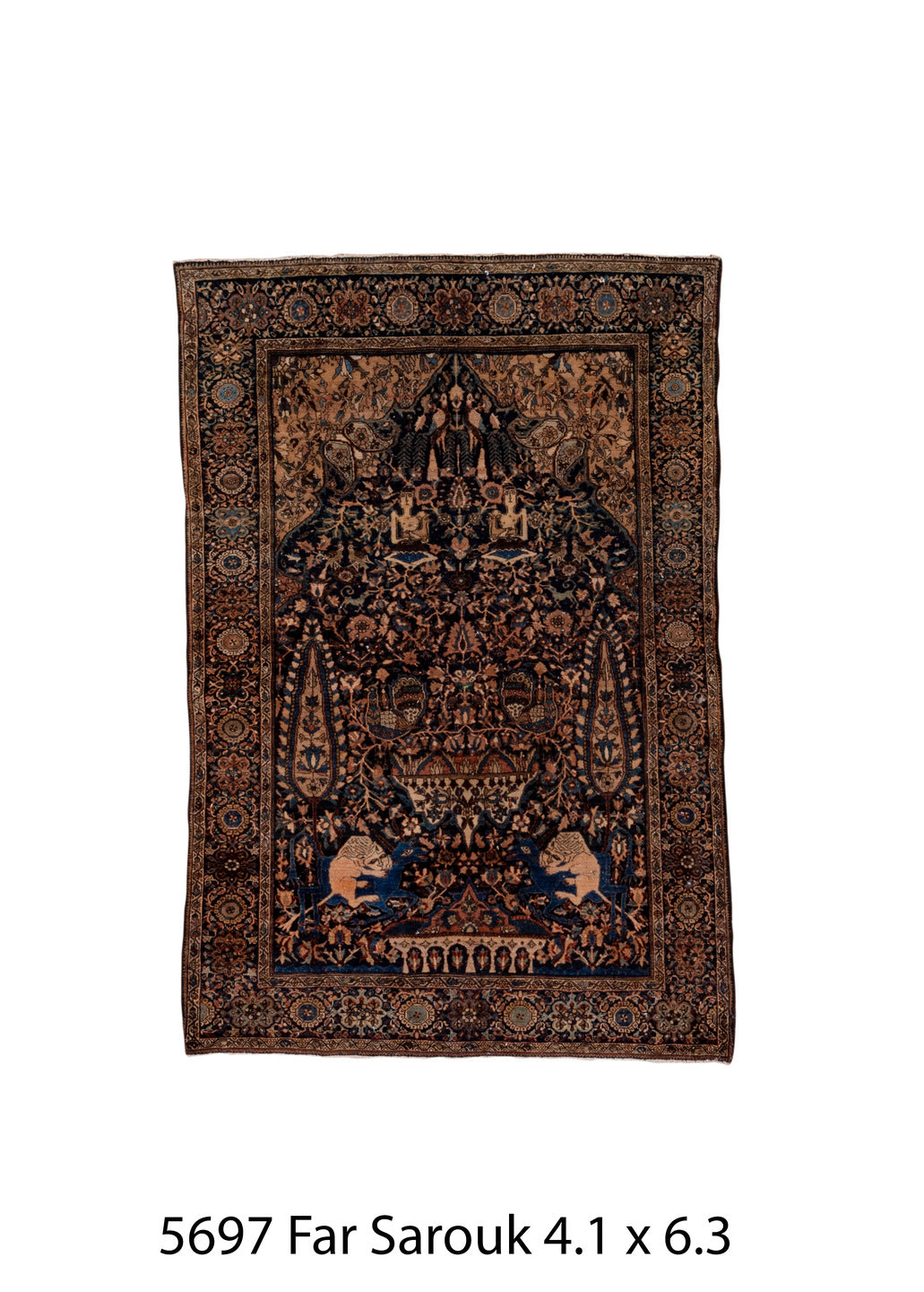 C05697 Rug
