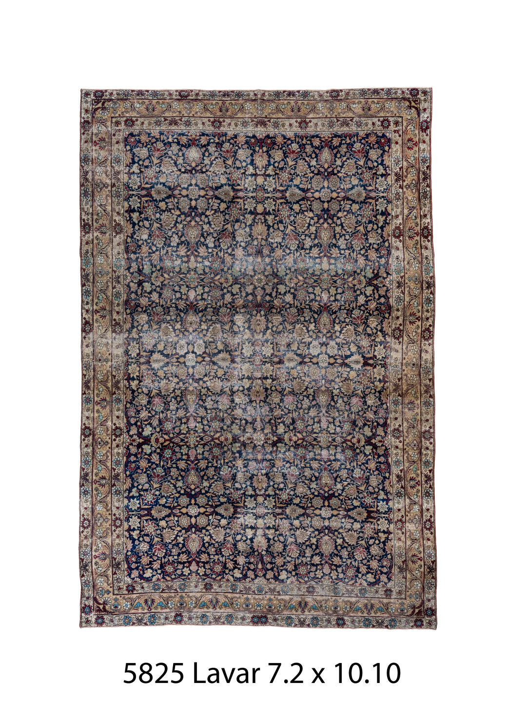 C05825 Rug