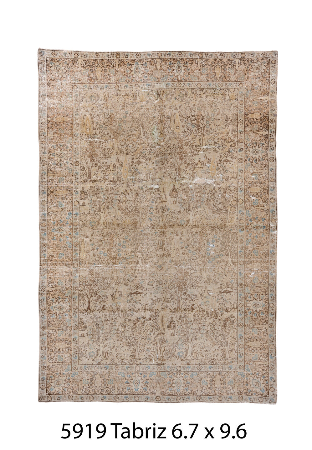 C05919 Rug