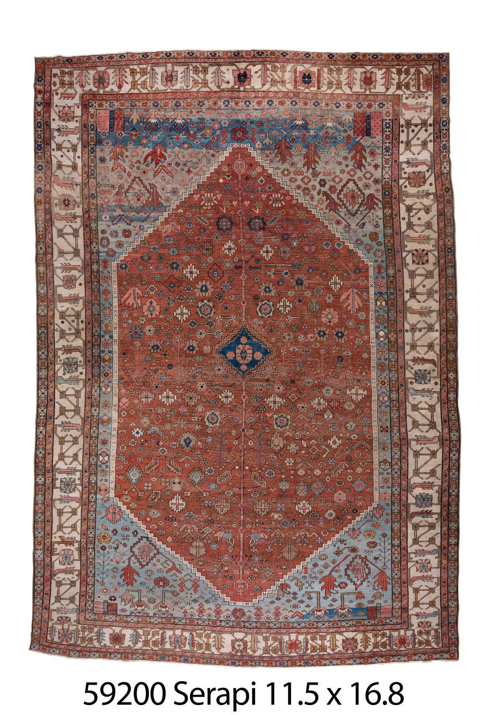 C59200 Rug