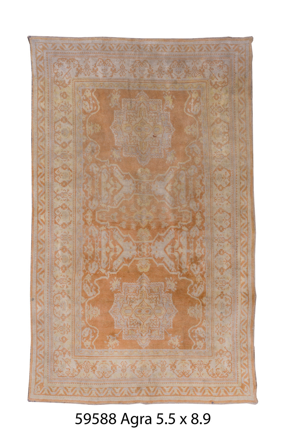 C59588 Rug