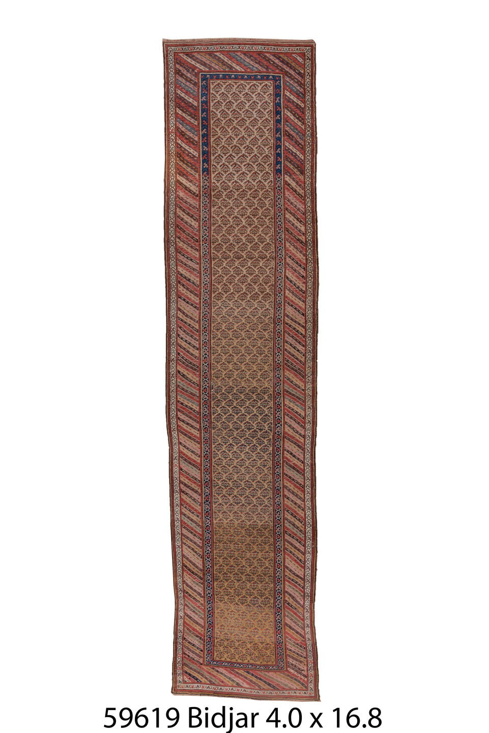 C59619 Rug