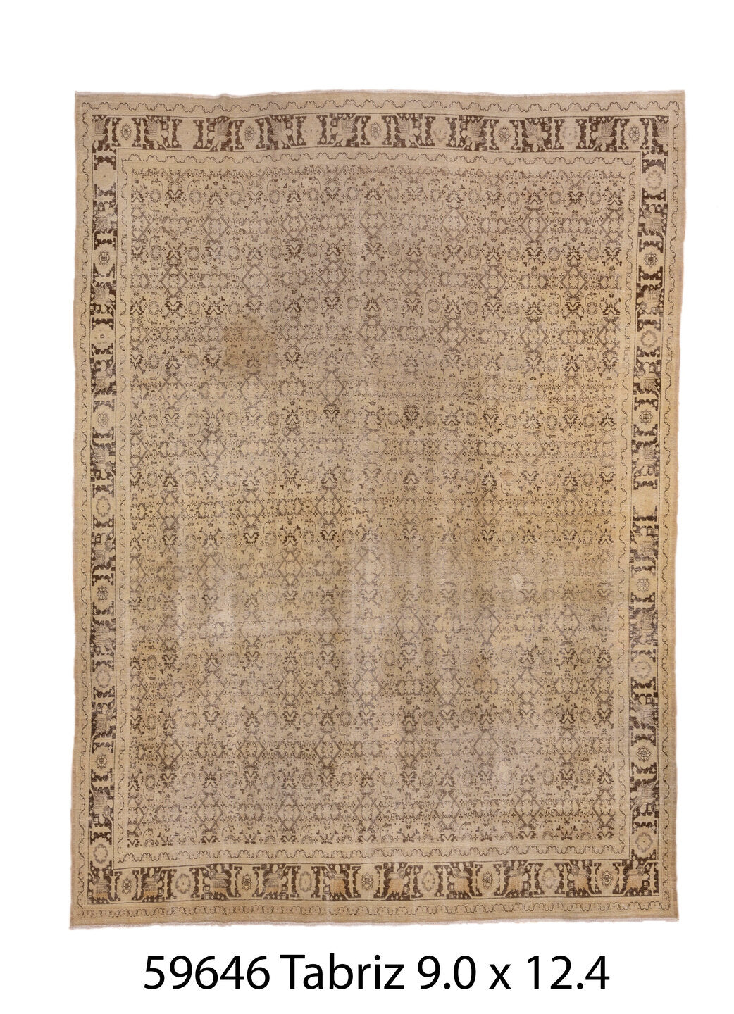 C59646 Rug