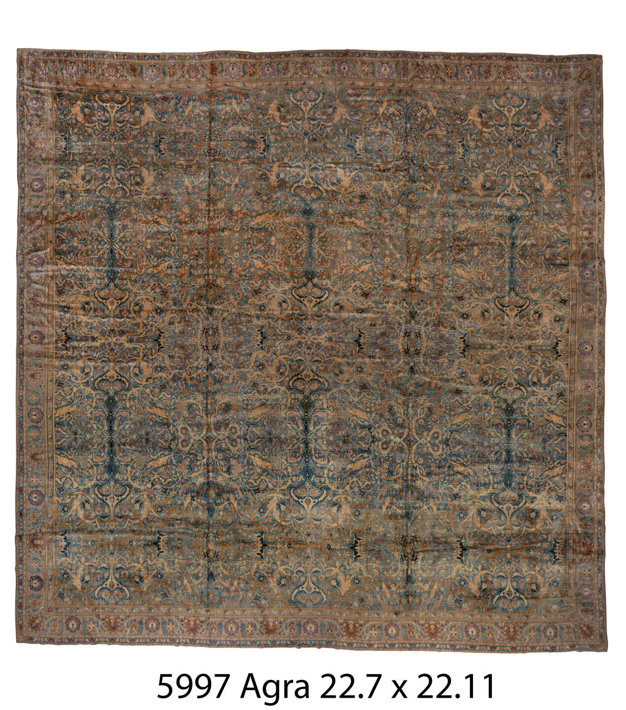 C05997 Rug