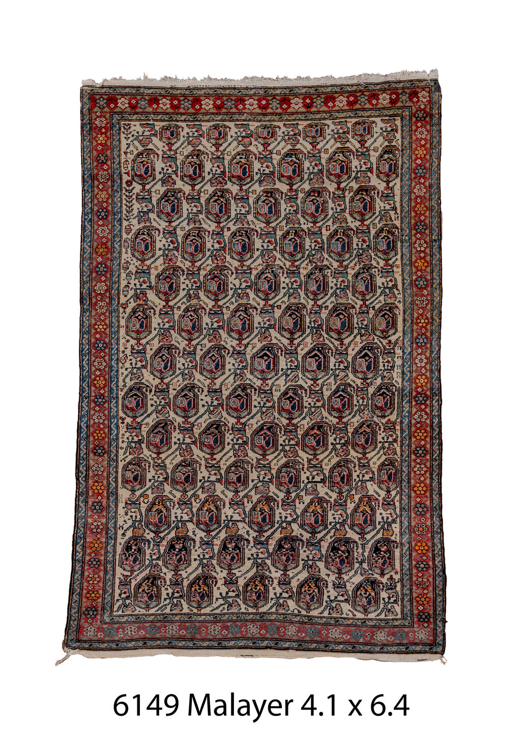C06149 Rug