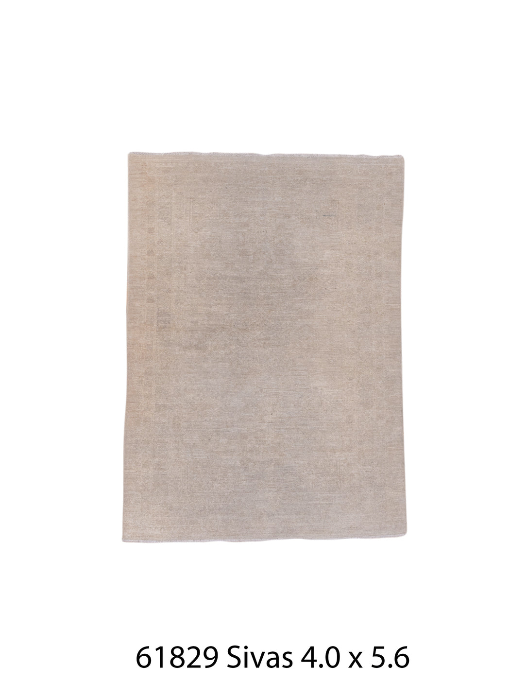 061829 Rug