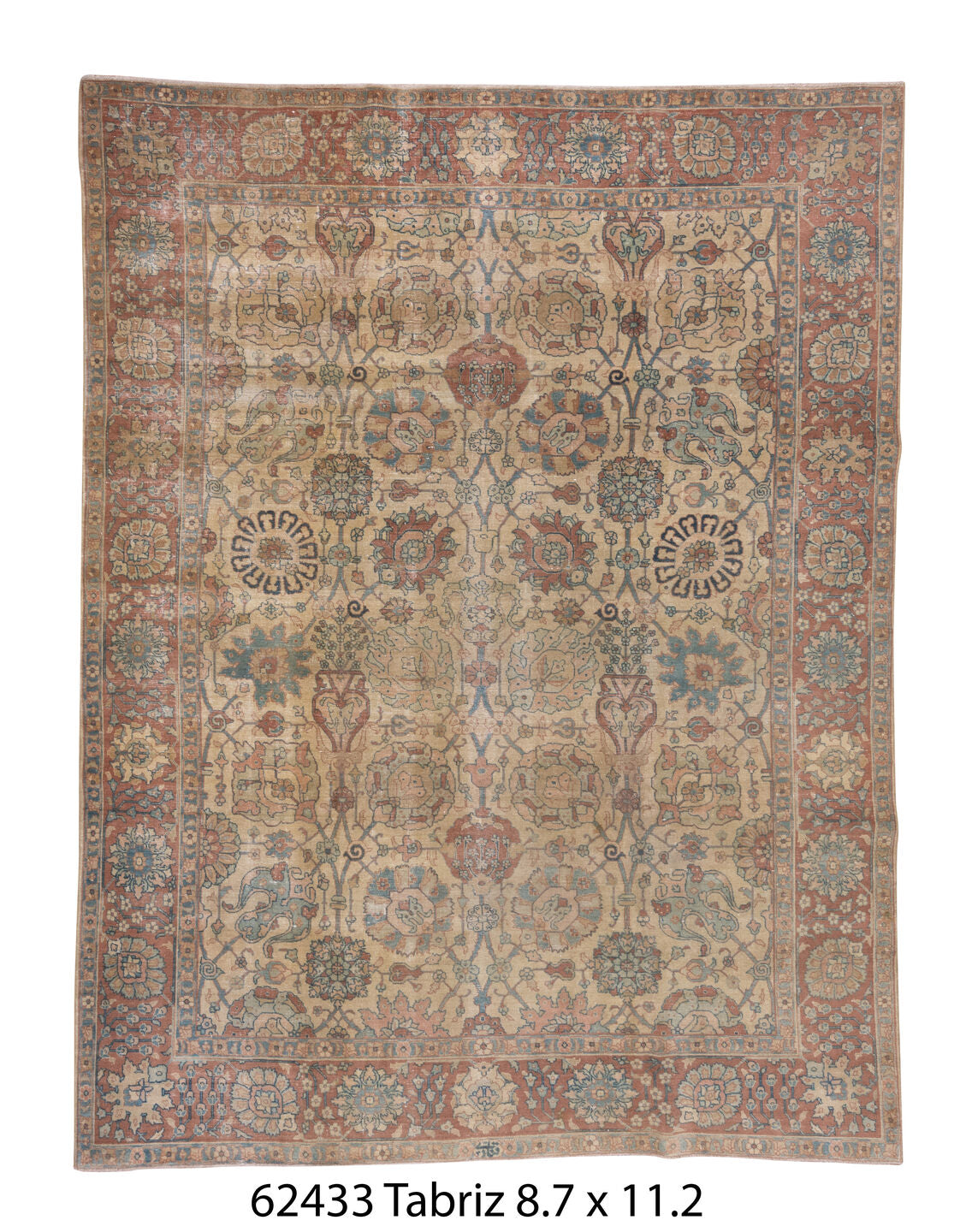 C62433 Rug