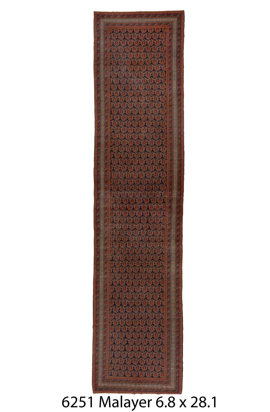 C06251 Rug
