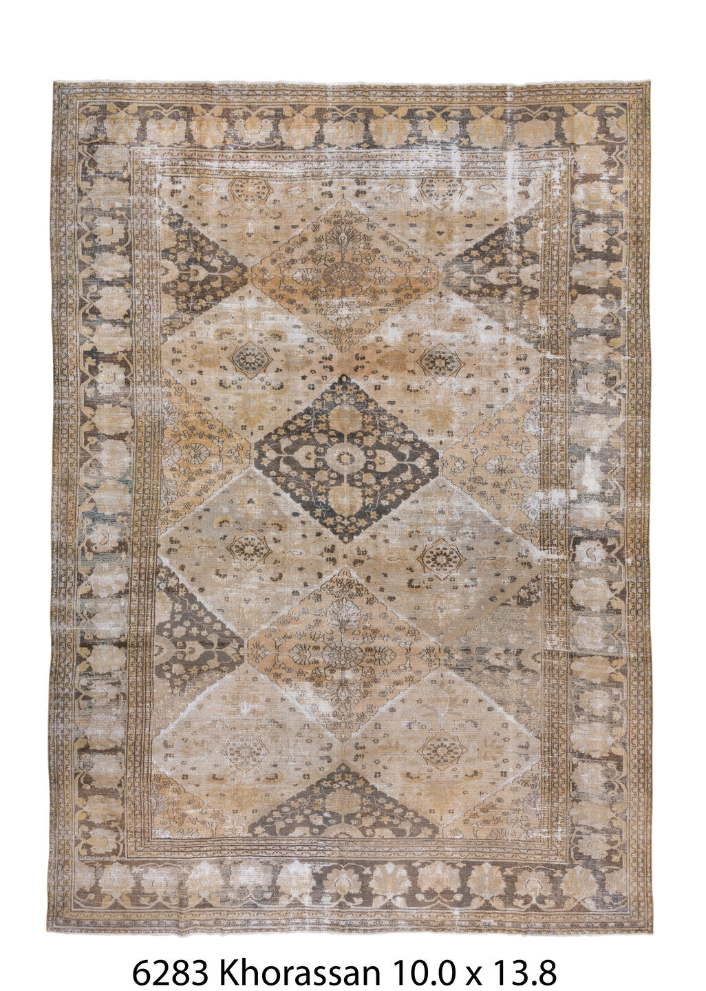 C06283 Rug