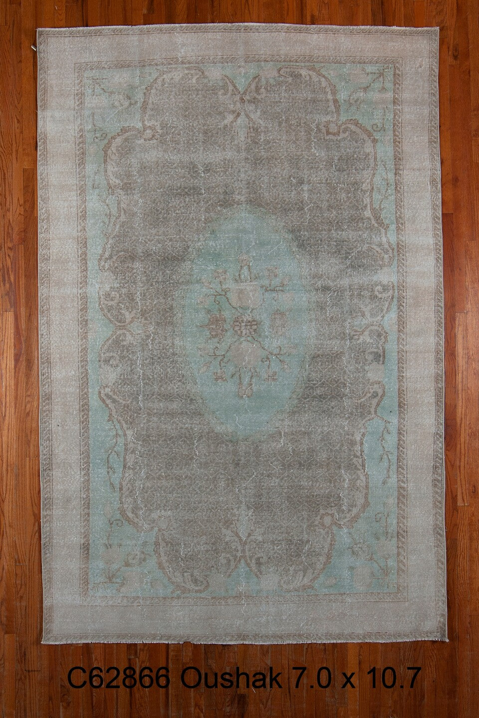 C62866 Rug