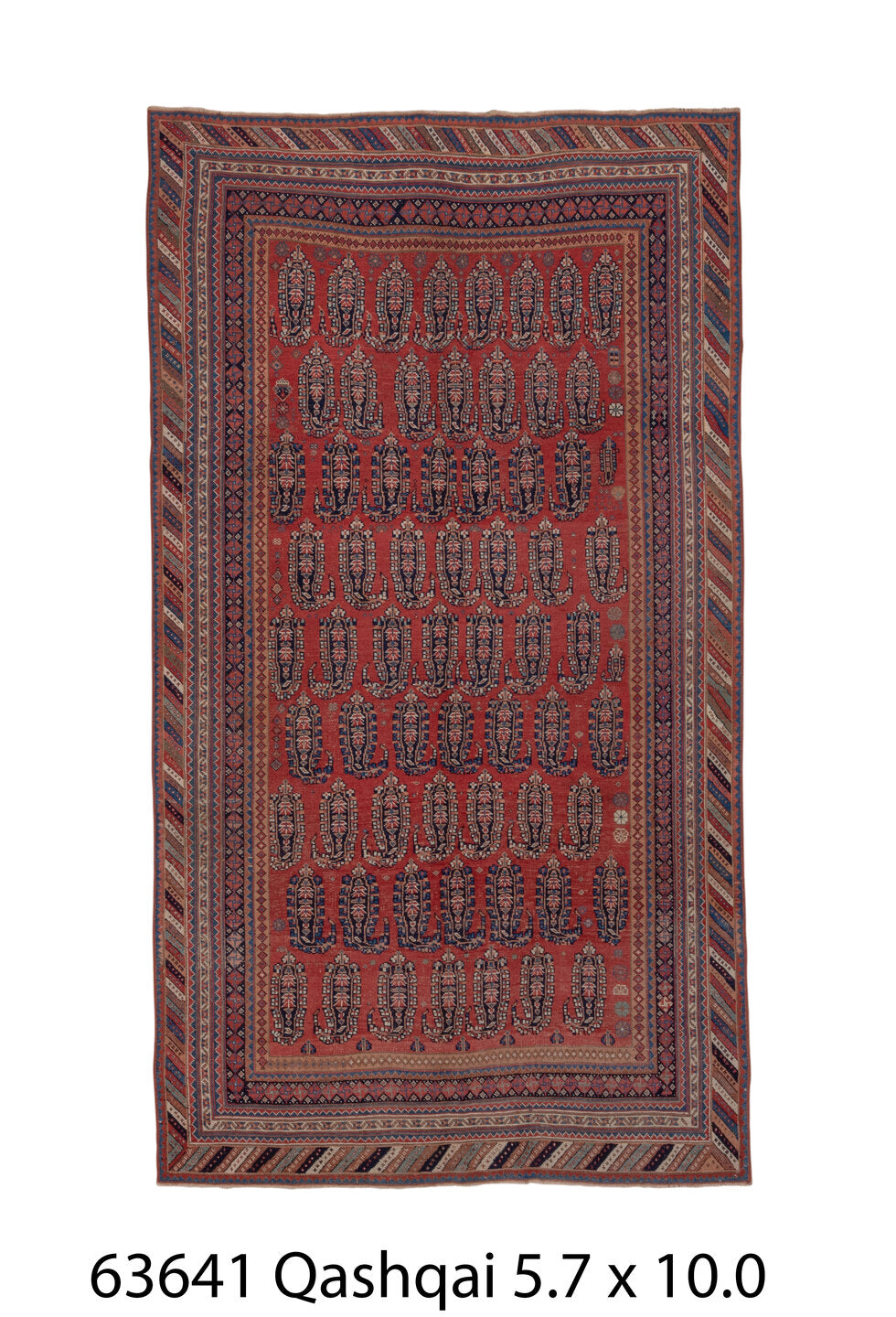 C63641 Rug