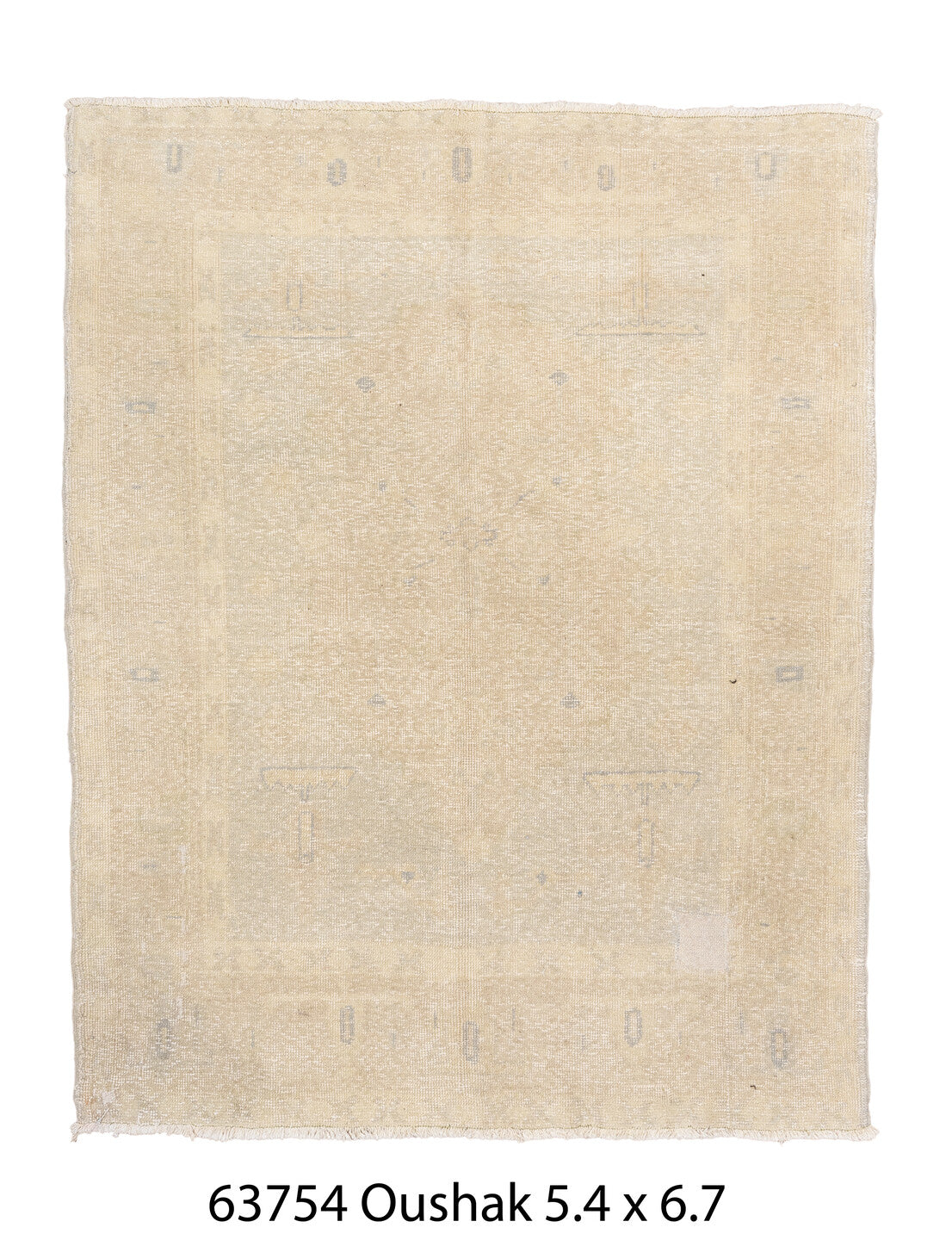 C63754 Rug
