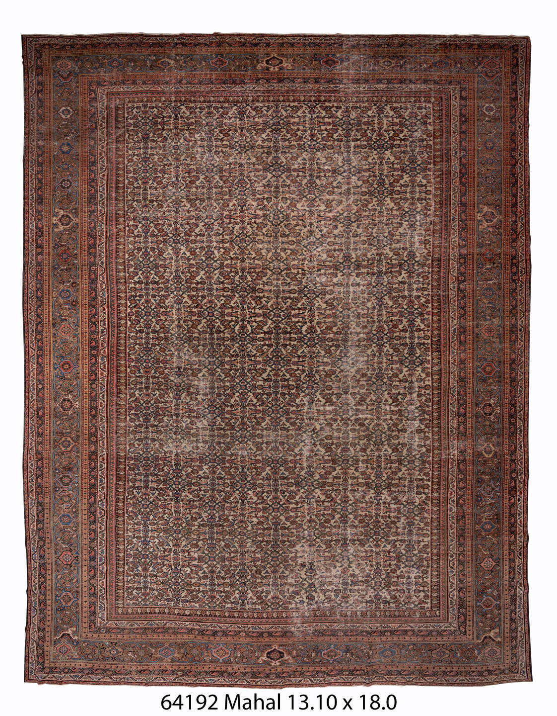 C64192 Rug