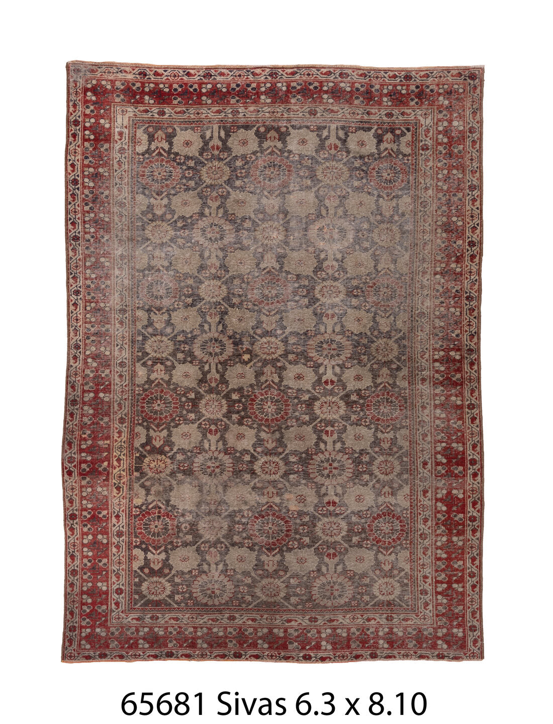 C65681 Rug