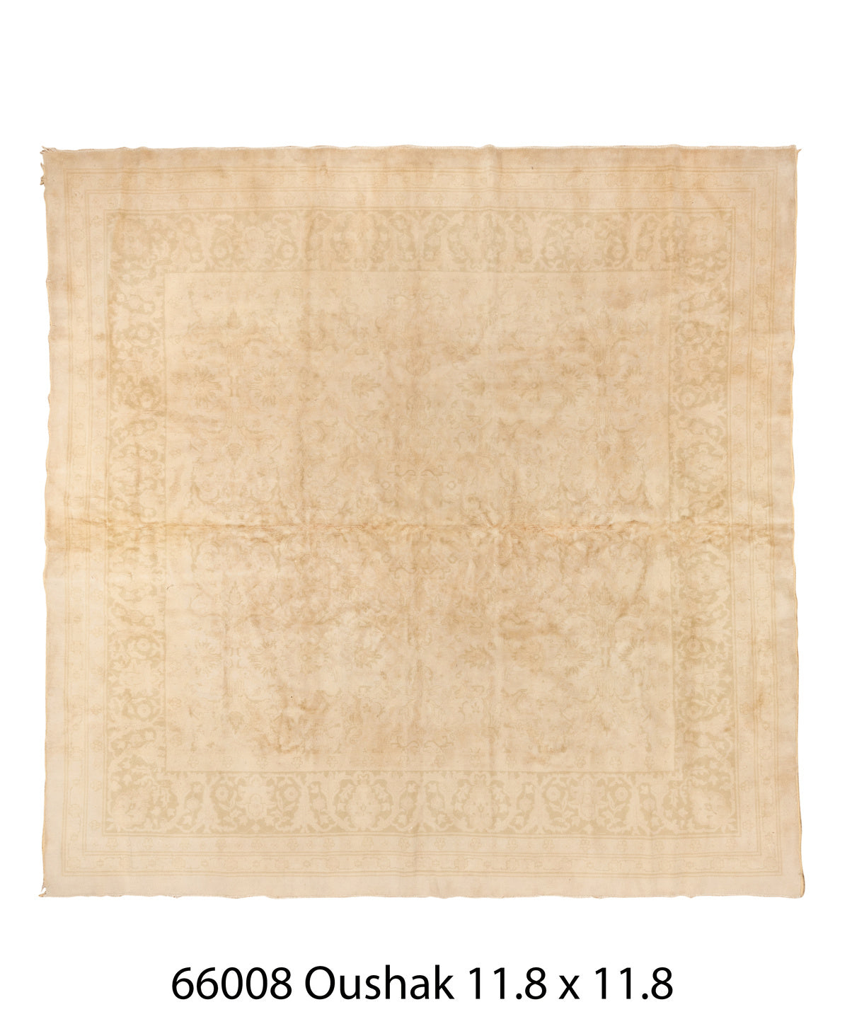 C66008 Rug