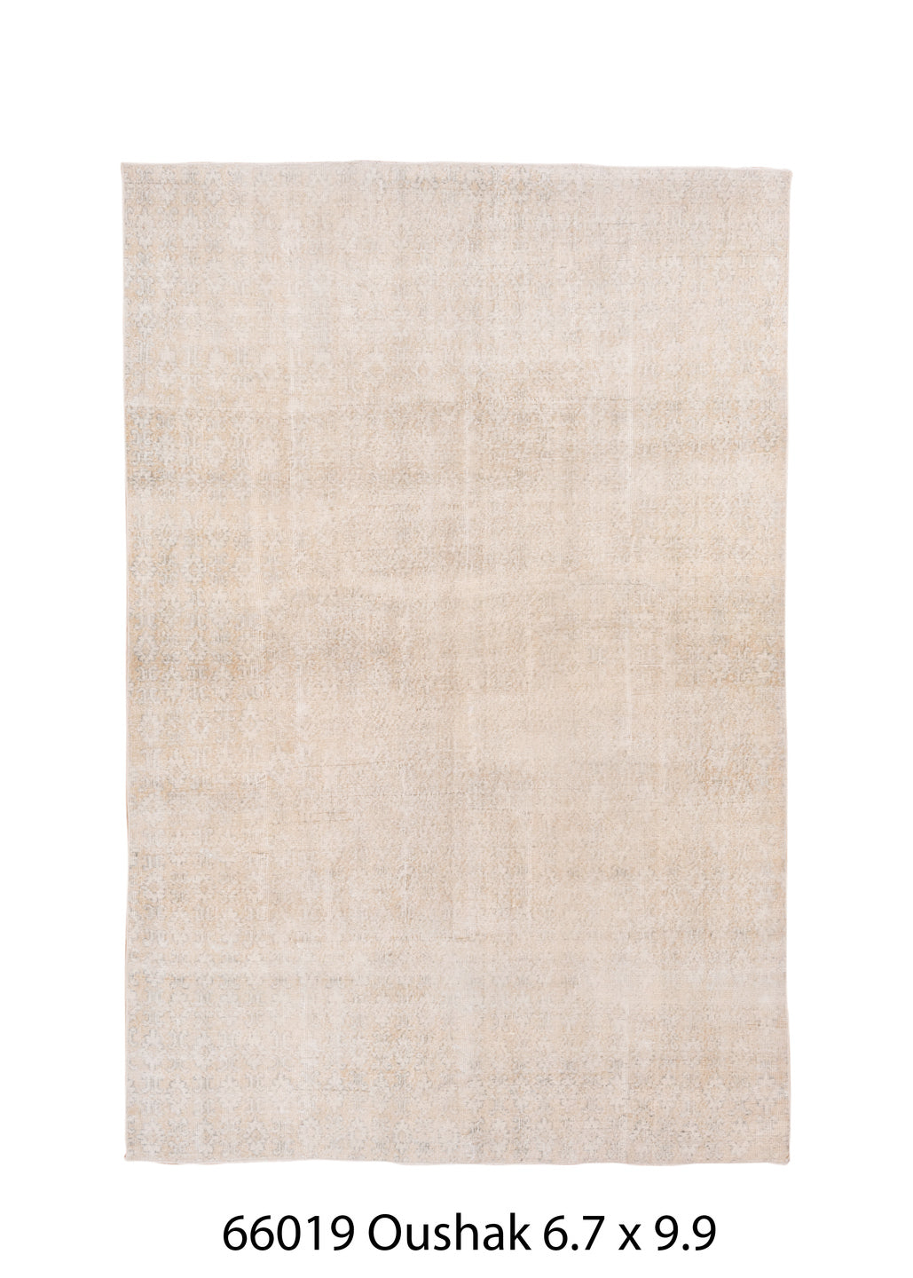 C66019 Rug