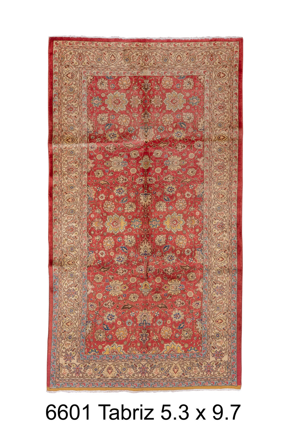 C06601 Rug
