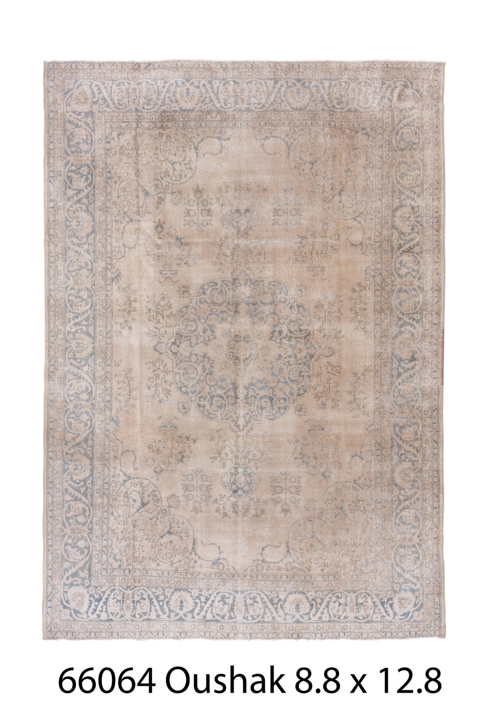 C66064 Rug