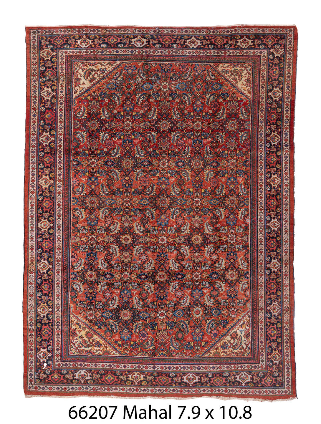 C66207 Rug