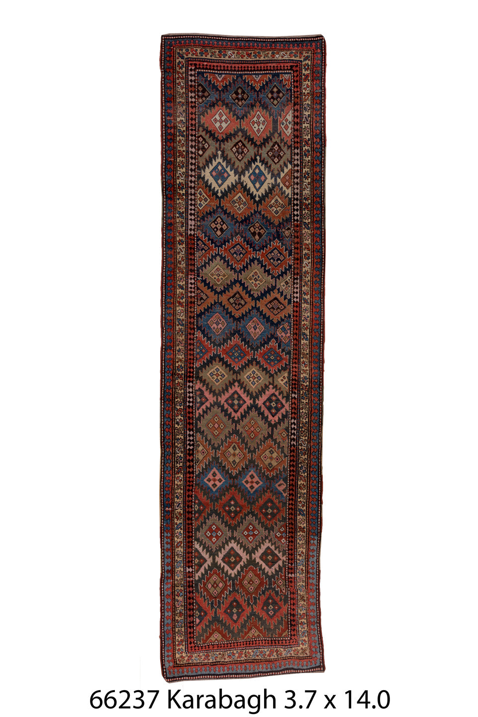 C66237 Rug