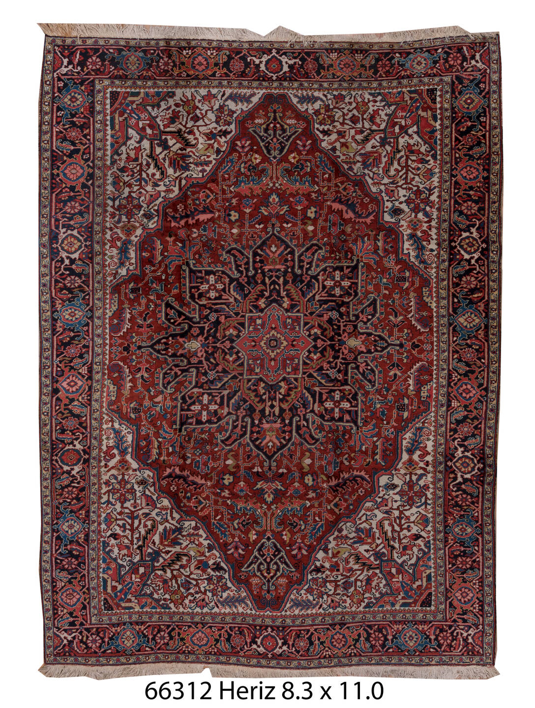 C66312 Rug