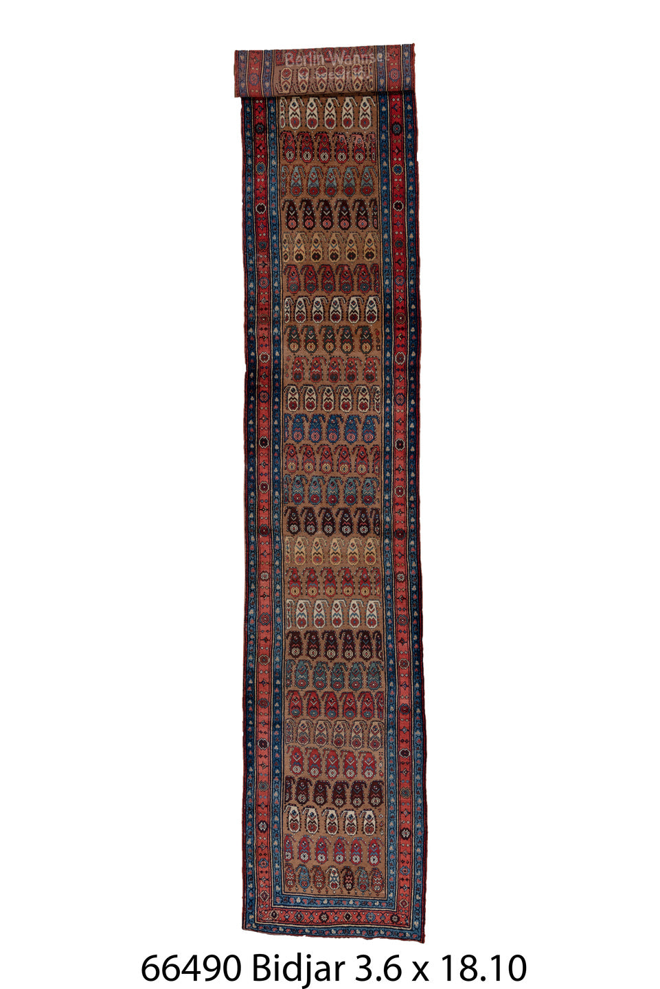 C66490 Rug