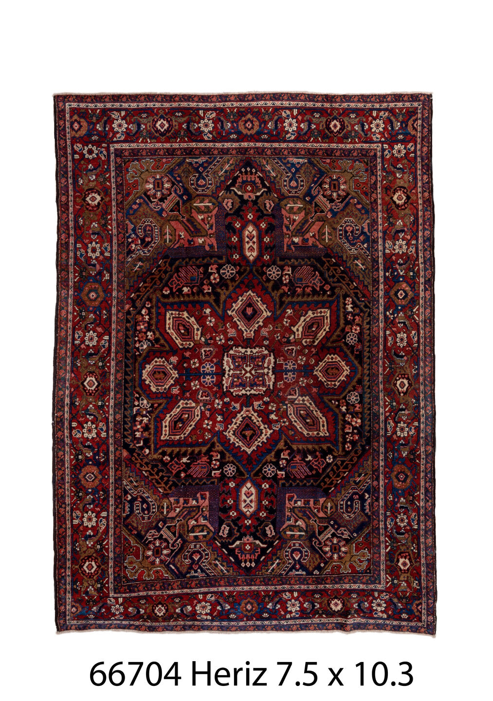 C66704 Rug