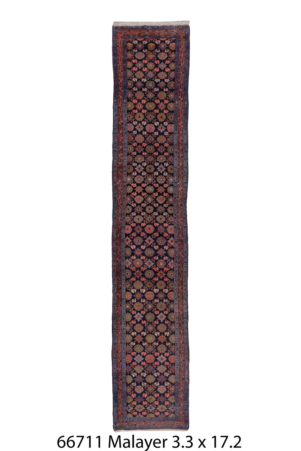 C66711 Rug
